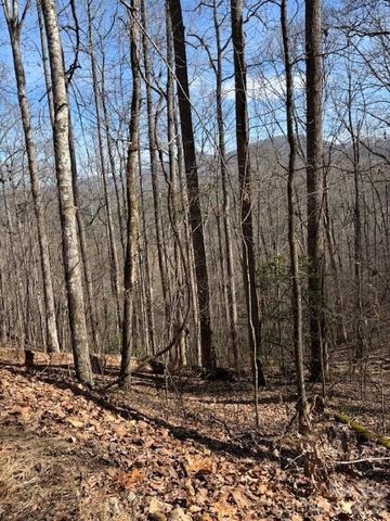 Lot 13 Henderson Road, Franklin, NC 28734