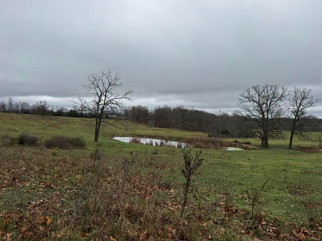 2595 Highway F, Mansfield, MO 65704