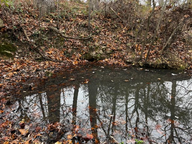 2595 Highway F, Mansfield, MO 65704