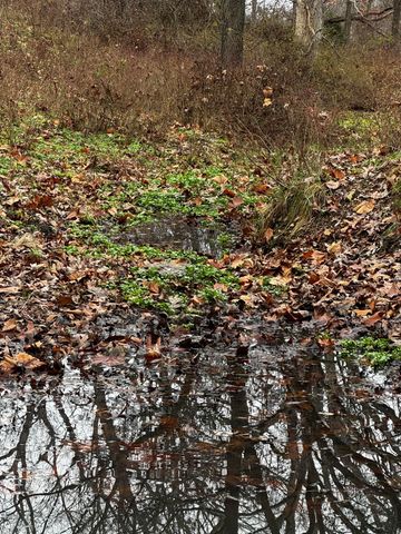 2595 Highway F, Mansfield, MO 65704