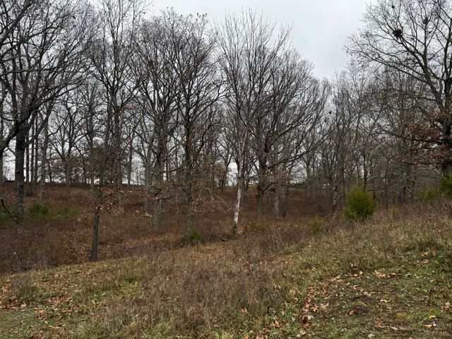 2595 Highway F, Mansfield, MO 65704