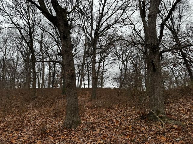 2595 Highway F, Mansfield, MO 65704