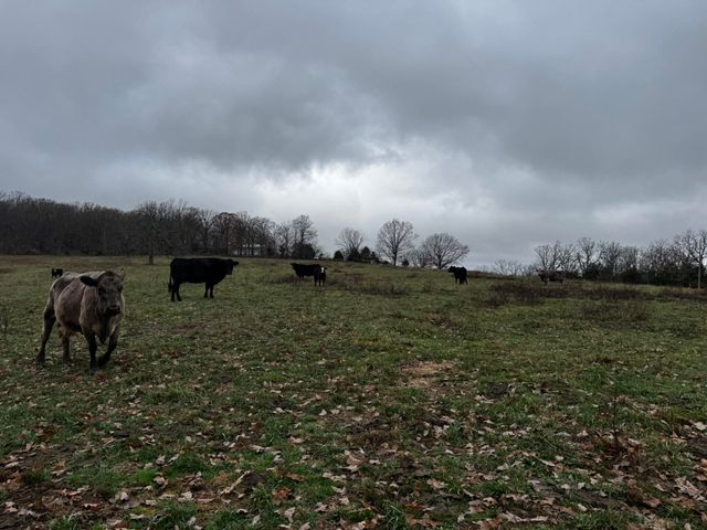 2595 Highway F, Mansfield, MO 65704