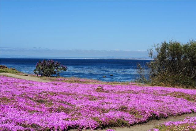 2308 Golden Oaks Ln, Monterey, CA 93940