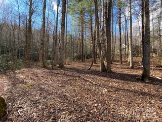 99999 Laurel Branch Drive, Black Mountain, NC 28711