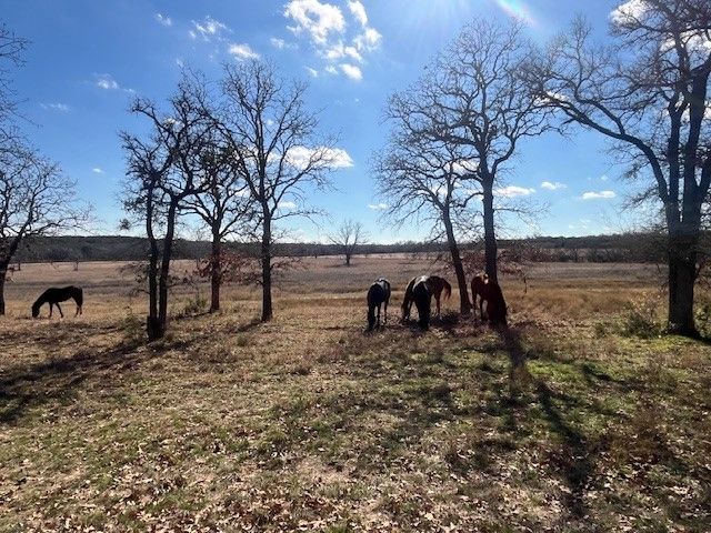 1705B County Road 122, Hico, TX 76457