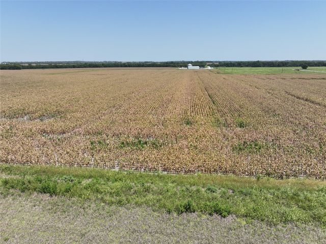 96 Acres FM 137, Petty, TX 75470