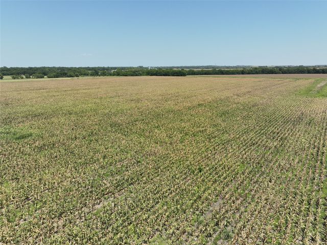 96 Acres FM 137, Petty, TX 75470