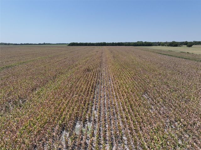 96 Acres FM 137, Petty, TX 75470