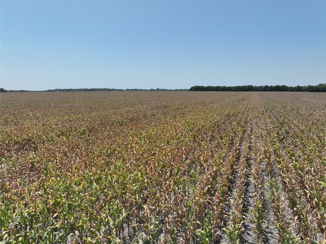 96 Acres FM 137, Petty, TX 75470