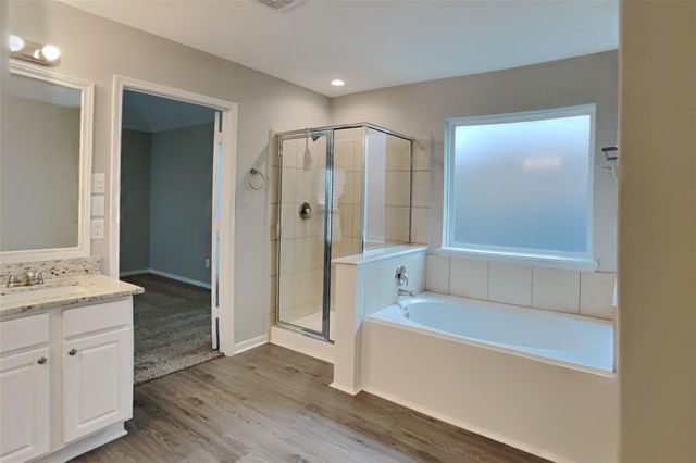 9909 Climbing Tree Street, Conroe, TX 77385