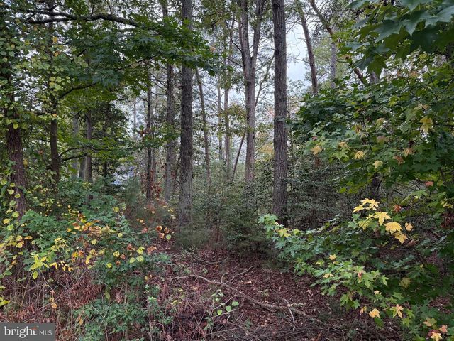 11240 LORD BALTIMORE DR, Issue, MD 20645