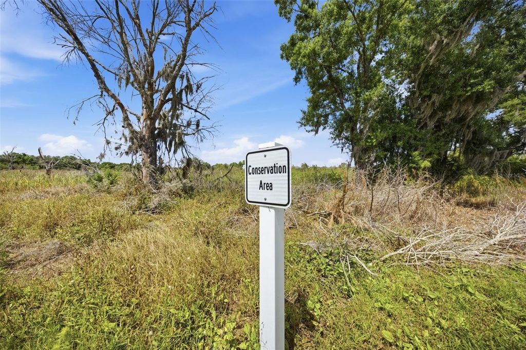 Image 57 of property listing at 18026 FATTORIA TERRACE, Bradenton, FL 34211