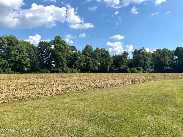 1341 Cedar Grove Church Road, Cerro Gordo, NC 28430