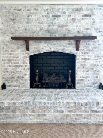 1341 Cedar Grove Church Road, Cerro Gordo, NC 28430