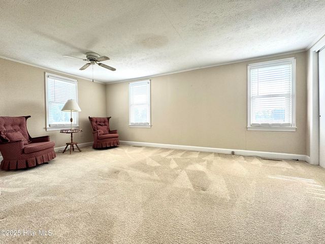 1341 Cedar Grove Church Road, Cerro Gordo, NC 28430