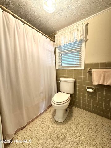 1341 Cedar Grove Church Road, Cerro Gordo, NC 28430