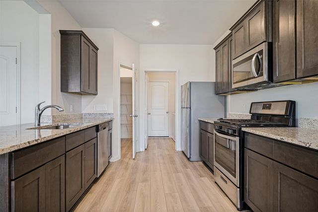 13616 Roosevelt Arch Drive, Ponder, TX 76259