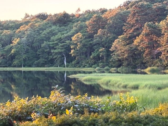 381 Great Oak Road APT 9, Mashpee, MA 02649