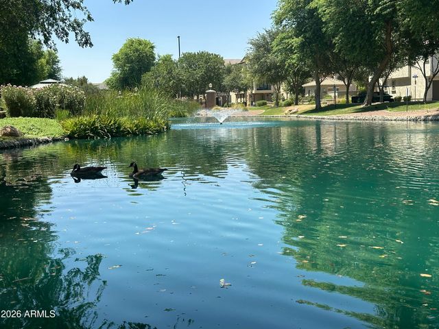 1686 E CHELSEA Lane, Gilbert, AZ 85295