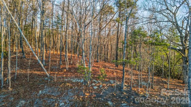 99 Spring Song Lane 9, Fletcher, NC 28732