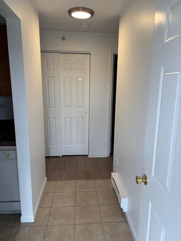 1900 W Knightsbridge Drive W 2B, Mount Prospect, IL 60056