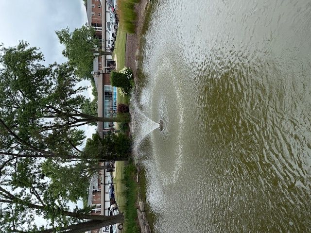 1900 W Knightsbridge Drive W 2B, Mount Prospect, IL 60056