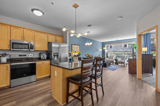 301 Oak Grove Street 308, Minneapolis, MN 55403