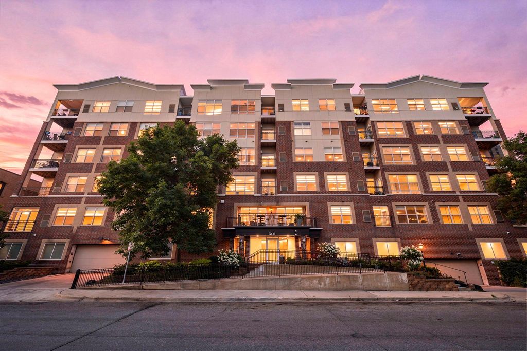301 Oak Grove Street 308, Minneapolis, MN 55403 — photo 3