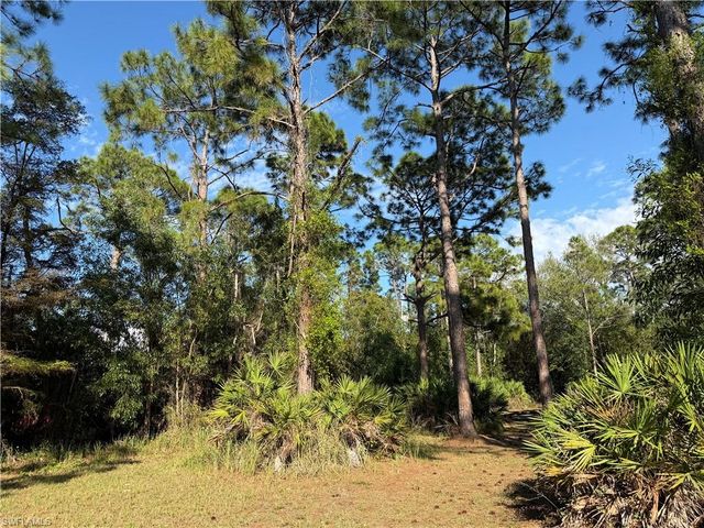 17090 shady grove ln, Cape Coral, FL 33909