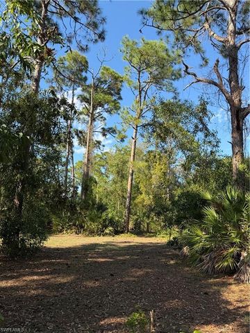 17090 shady grove ln, Cape Coral, FL 33909