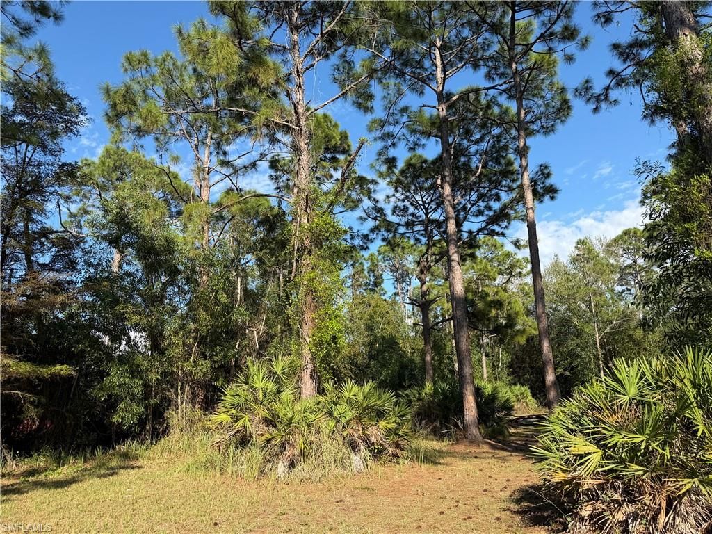 Image 4 of property listing at 17090 shady grove ln, Cape Coral, FL 33909