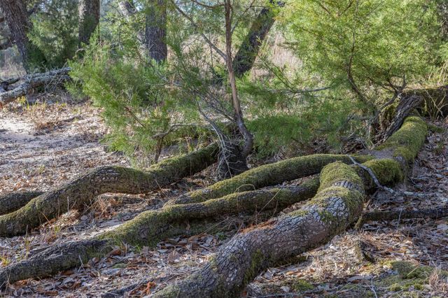 1746 County Road 103, Columbus, TX 78934