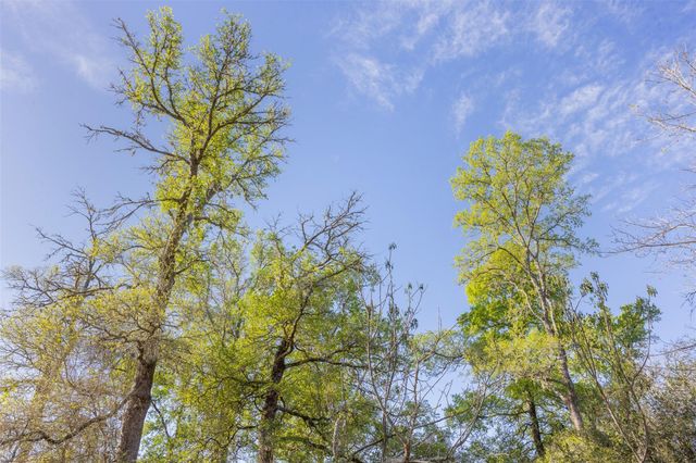 1746 County Road 103, Columbus, TX 78934