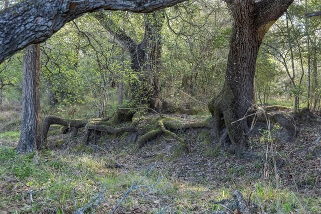 1746 County Road 103, Columbus, TX 78934