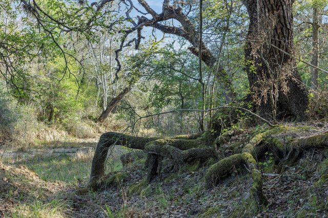 1746 County Road 103, Columbus, TX 78934