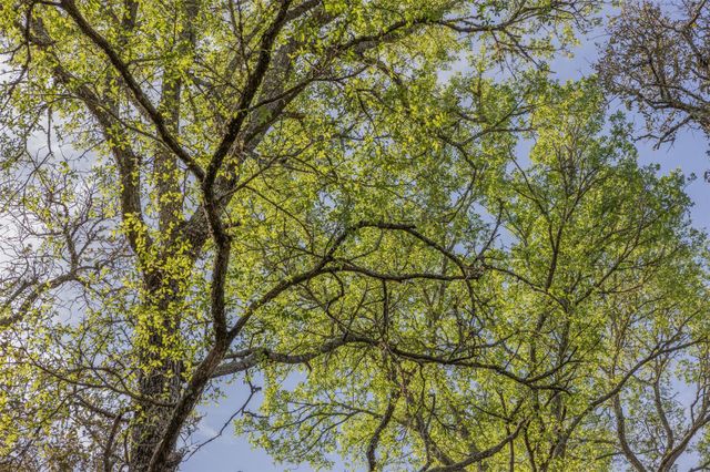 1746 County Road 103, Columbus, TX 78934