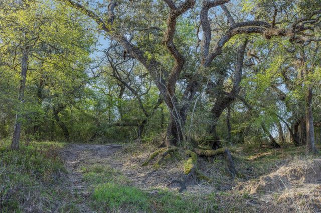 1746 County Road 103, Columbus, TX 78934