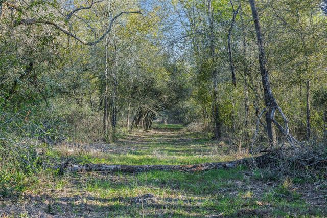 1746 County Road 103, Columbus, TX 78934