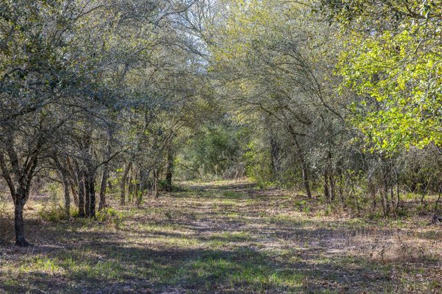 1746 County Road 103, Columbus, TX 78934