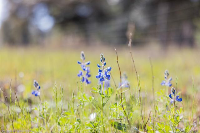 1746 County Road 103, Columbus, TX 78934