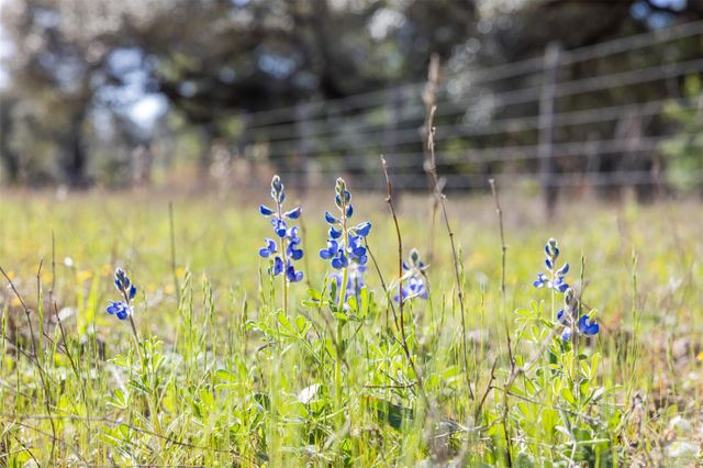 1746 County Road 103, Columbus, TX 78934