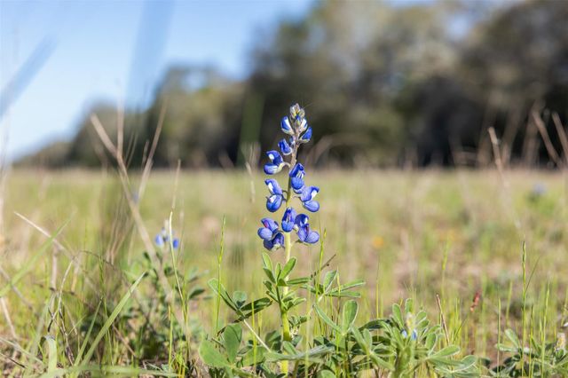 1746 County Road 103, Columbus, TX 78934