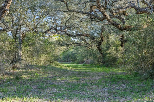 1746 County Road 103, Columbus, TX 78934