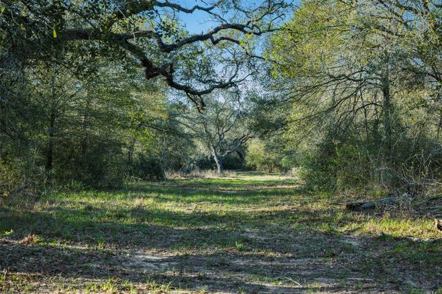 1746 County Road 103, Columbus, TX 78934