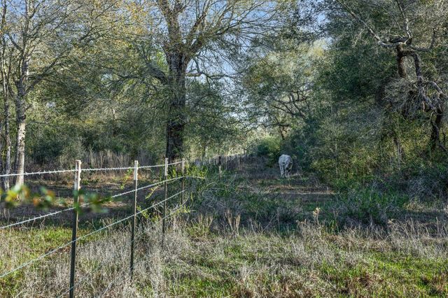 1746 County Road 103, Columbus, TX 78934