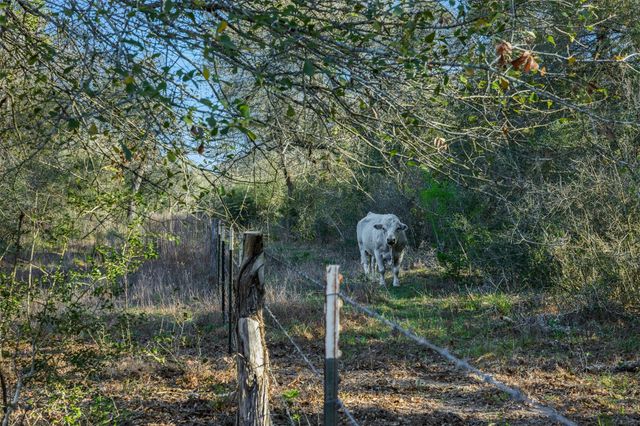 1746 County Road 103, Columbus, TX 78934