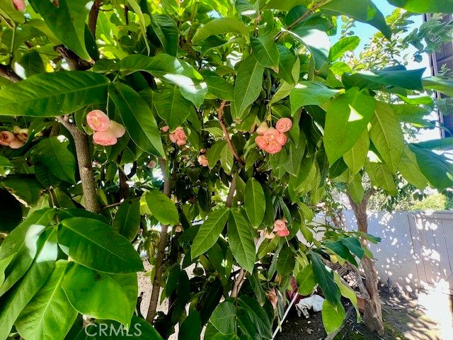 2 Bloomdale, Irvine, CA 92614