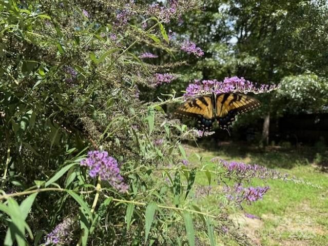 1017 Warlick Road, Lawndale, NC 28090