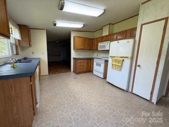1017 Warlick Road, Lawndale, NC 28090